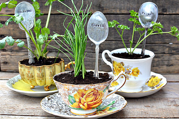 10-creative-ideas-for-a-home-garden-on-the-terrace-cups