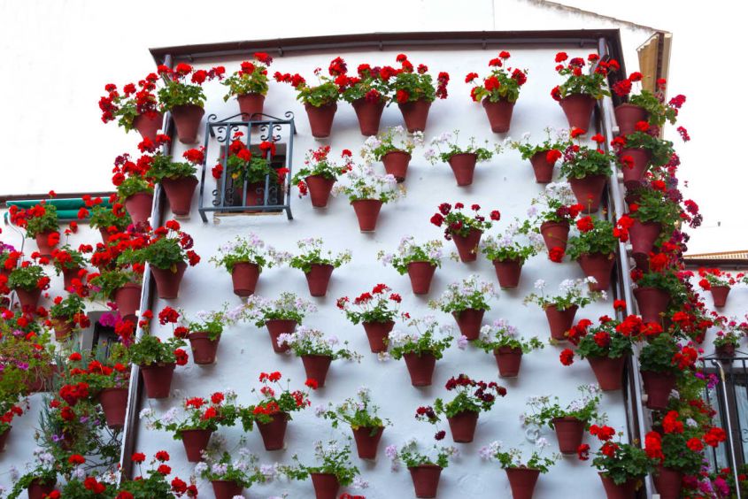 exterior walls decorated with flower pots