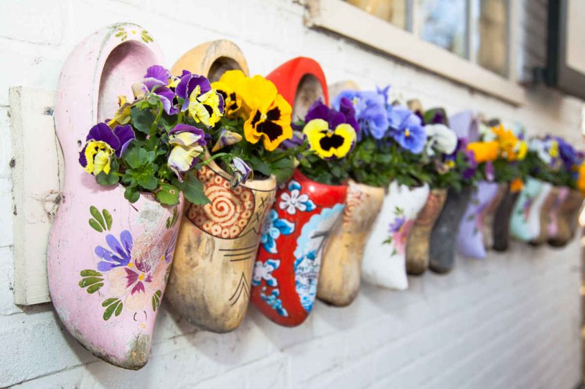 clogs for plants and flowers to decorate the exterior walls of the house