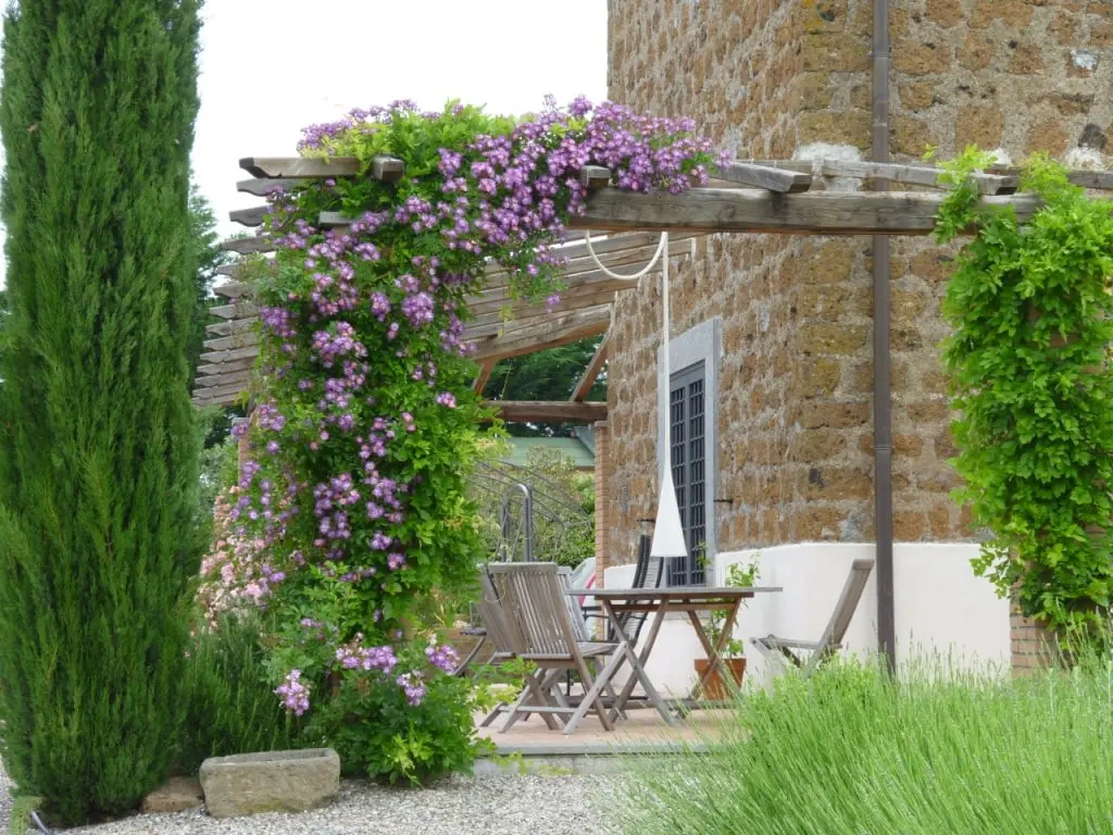 plants-flowers-pergola