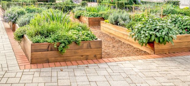 Raised, Beds, In, An, Urban, Garden, Growing, Plants, Herbs, Spices