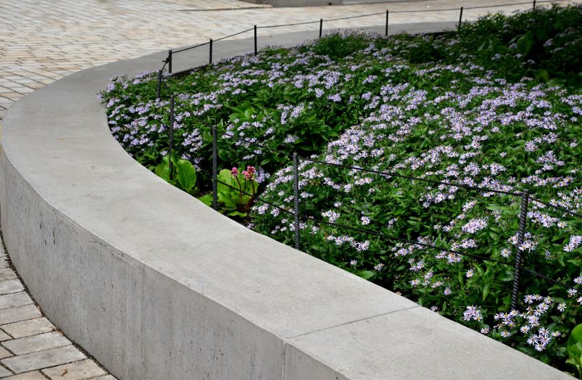 Retaining, Seat, Wall, Made, Of, Pure, Cast, Concrete, Blooms, Purple