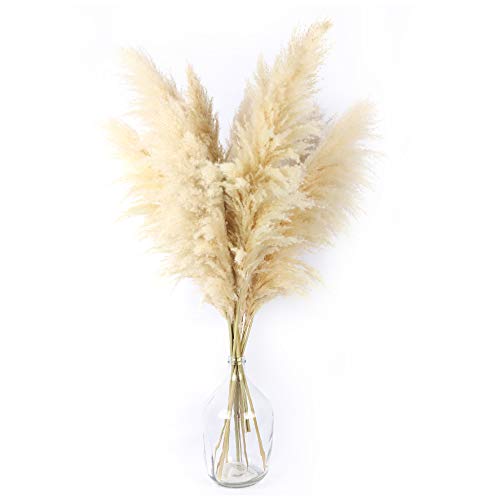 NaturalNH Pampas Grass - 3 Stems Tall Extra Fluffy 40 Inch (3.28 Feet) Pampas Grass, Bohemian Decor, Large Pampas Grass for Flower Arrangement, Wedding Home Decor