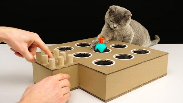 cardboard-animal-games