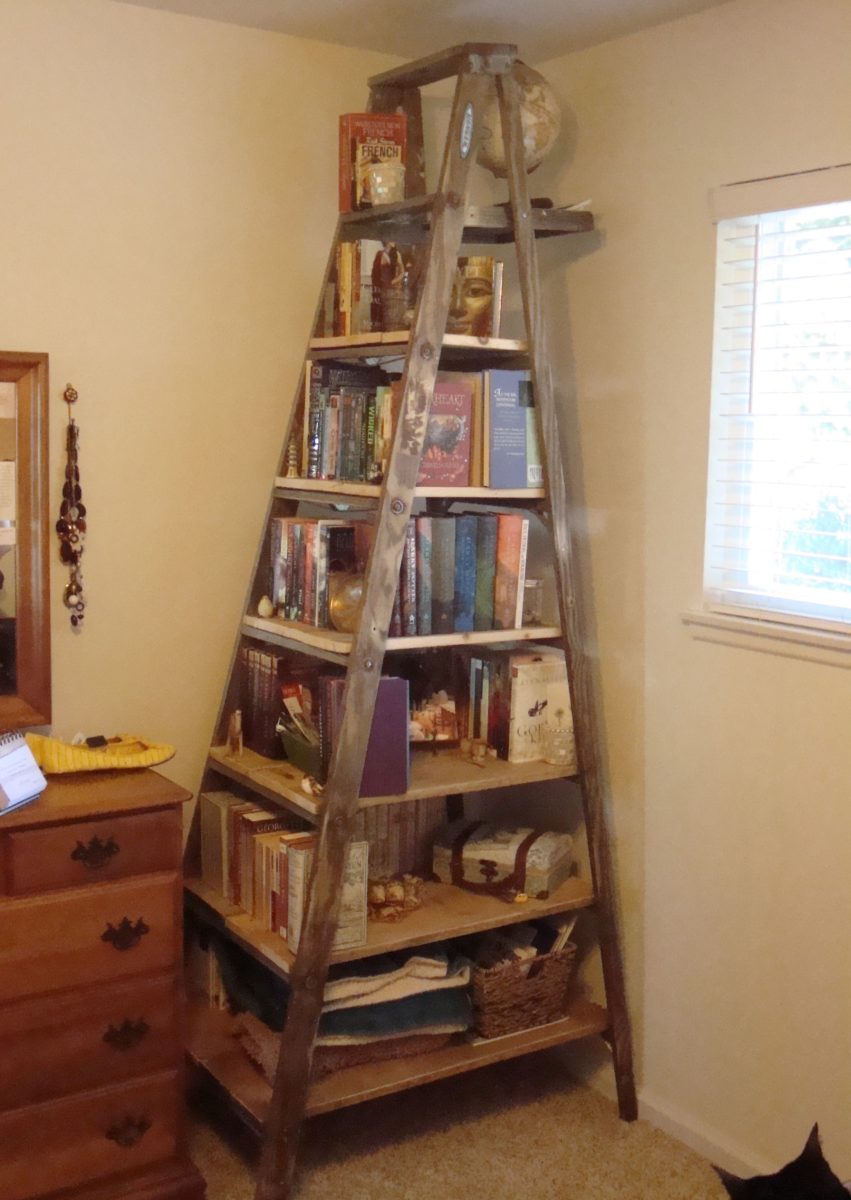 upcycling-library-ladder