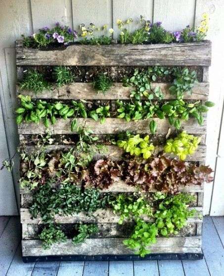 Vertical garden