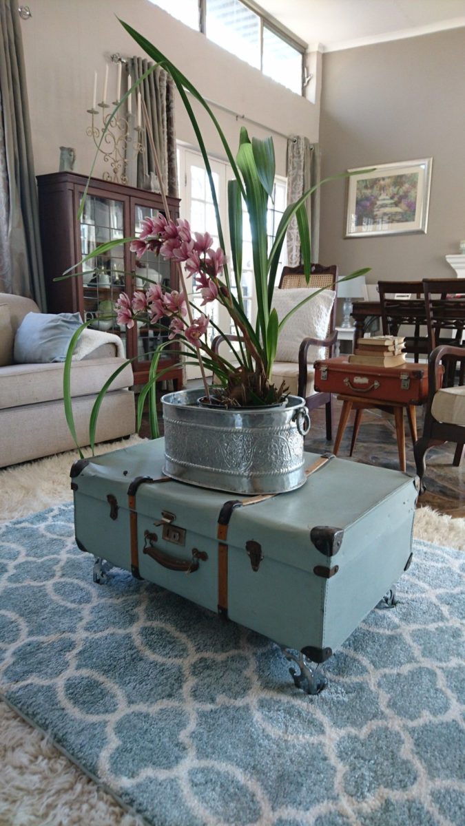 recycle-suitcase-plant holder