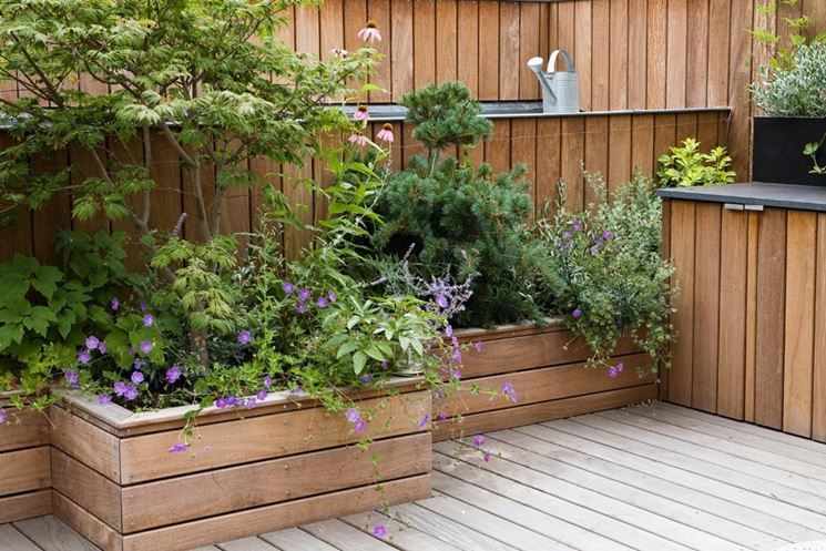 How to decorate a terrace with flowers and potted plants