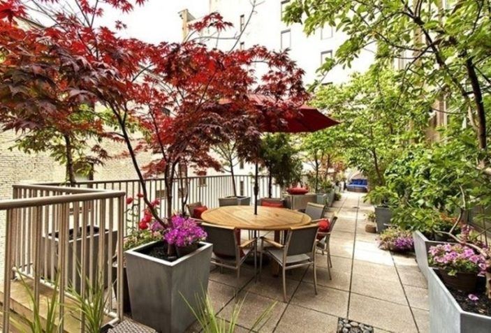 How to decorate a terrace with flowers and plants such as