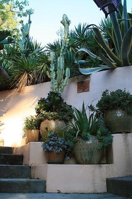 decorate mediterranean garden plants to choose