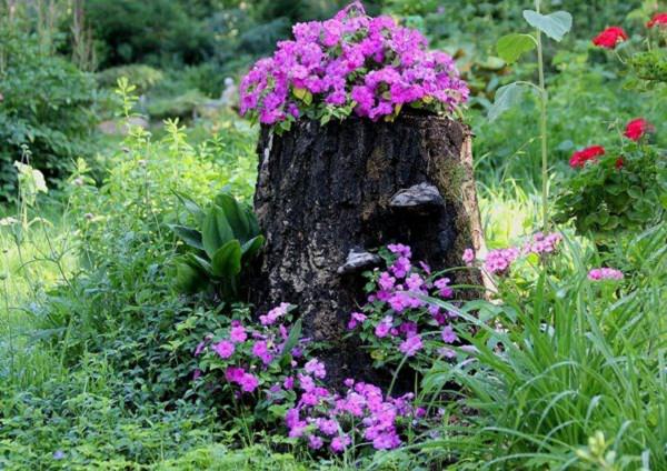 planter-tree