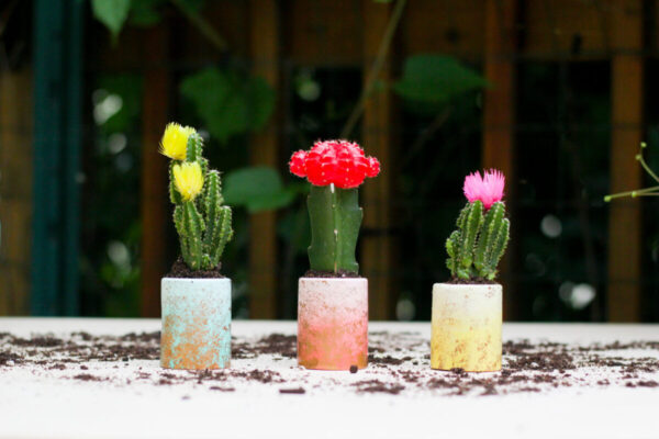 diy-planters-16