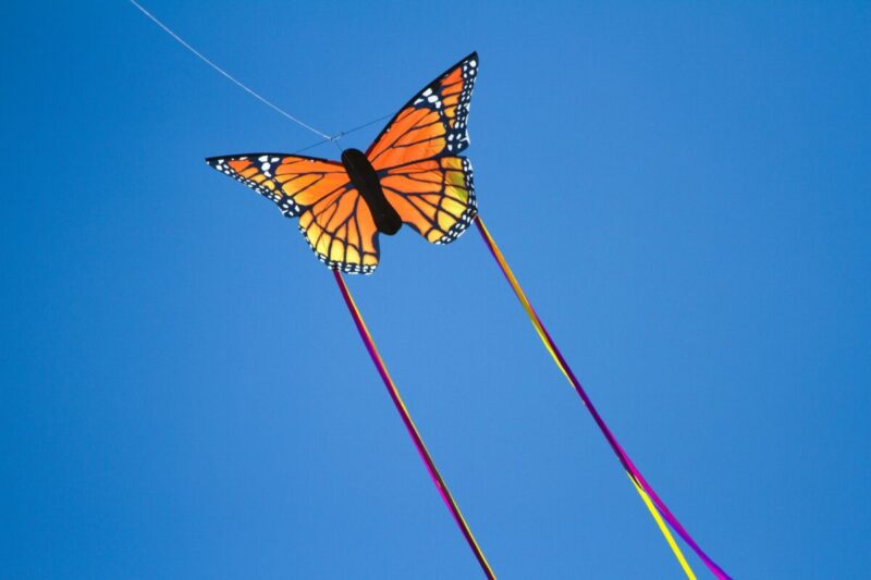 kite