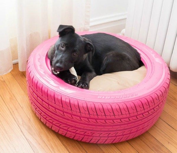 dog-bed