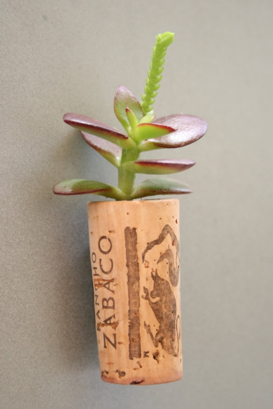 recycle corks