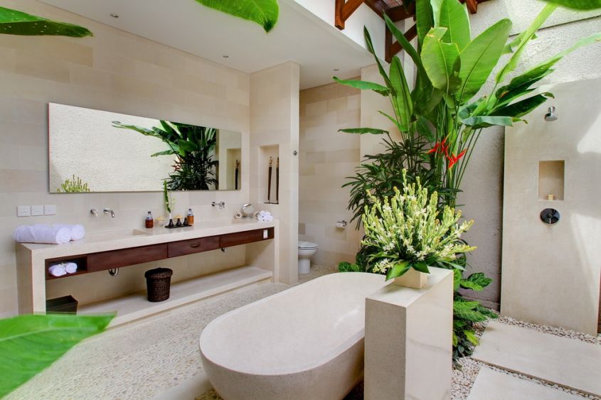 Green plants in the bathroom