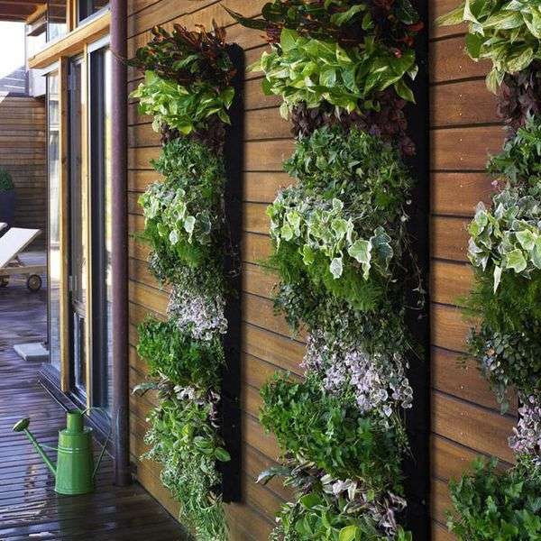 vertical garden