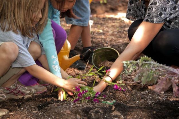 Montessori garden activity