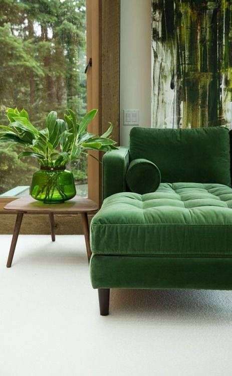 Greenery sofa and vase