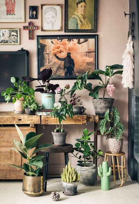 Furnish your home with plants