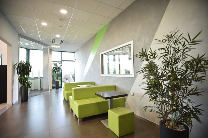 furnish-office-relaxation-area-plants