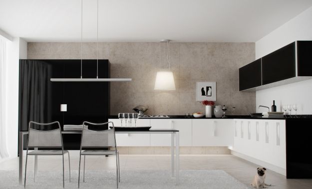 Black and white kitchen in a modern style