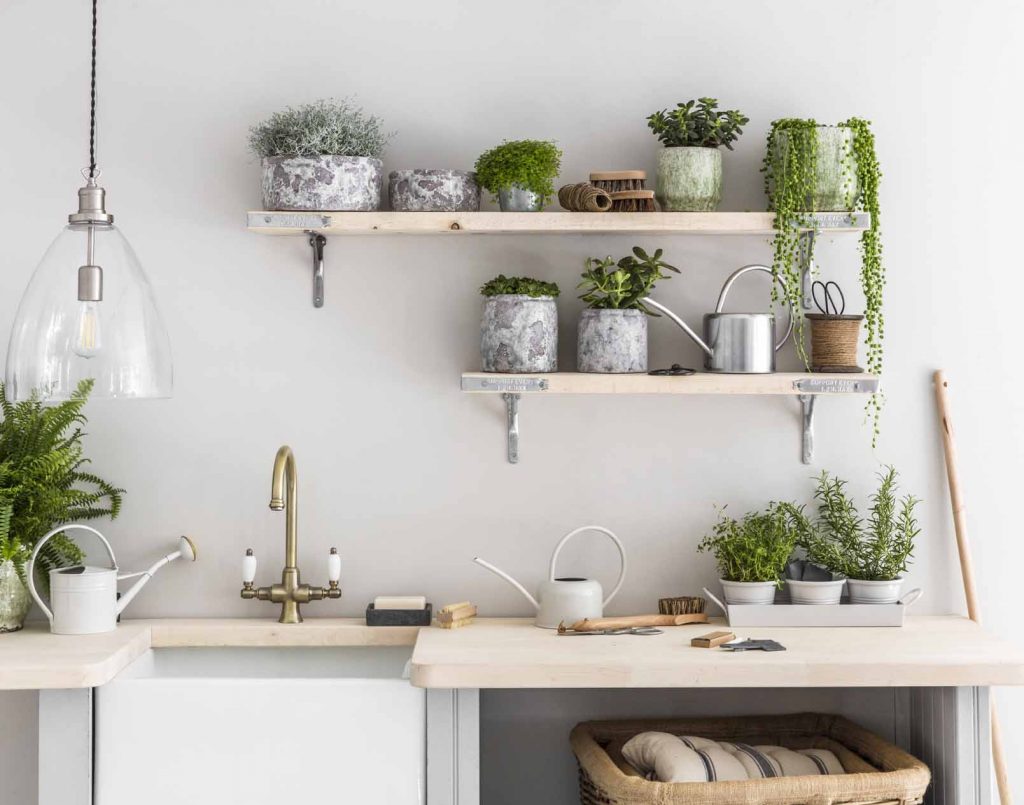 kitchen-plants-