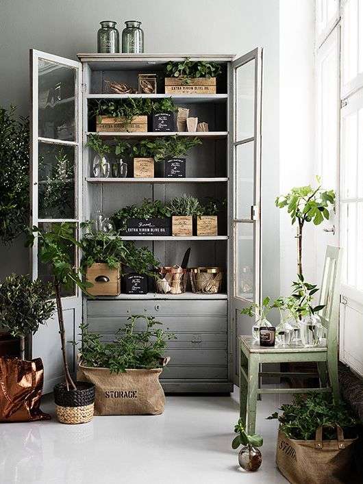 Furniture for aromatic plants