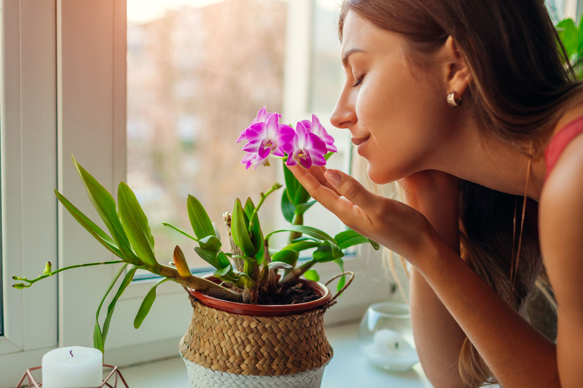 apartment-plants-for-summer-14