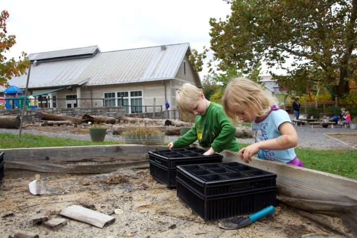 young cute Children collect plant acorns together