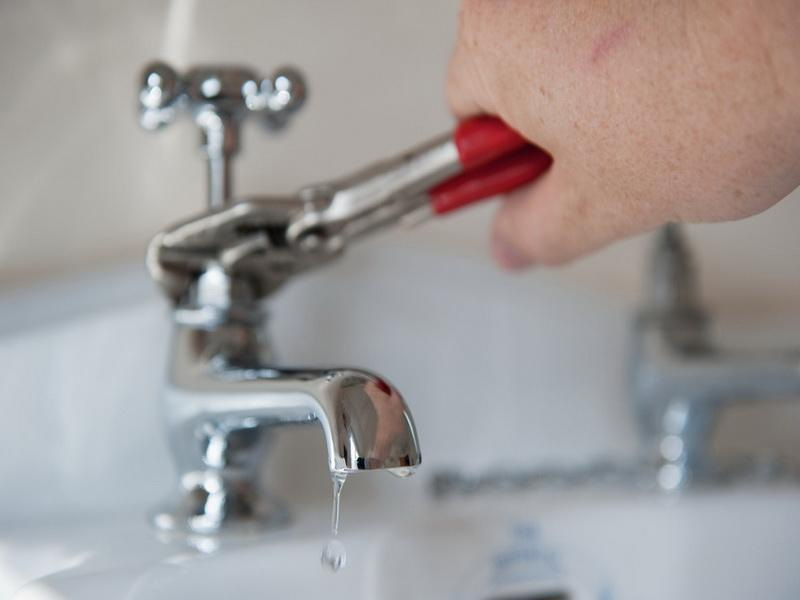 faucet-leaking-parrot