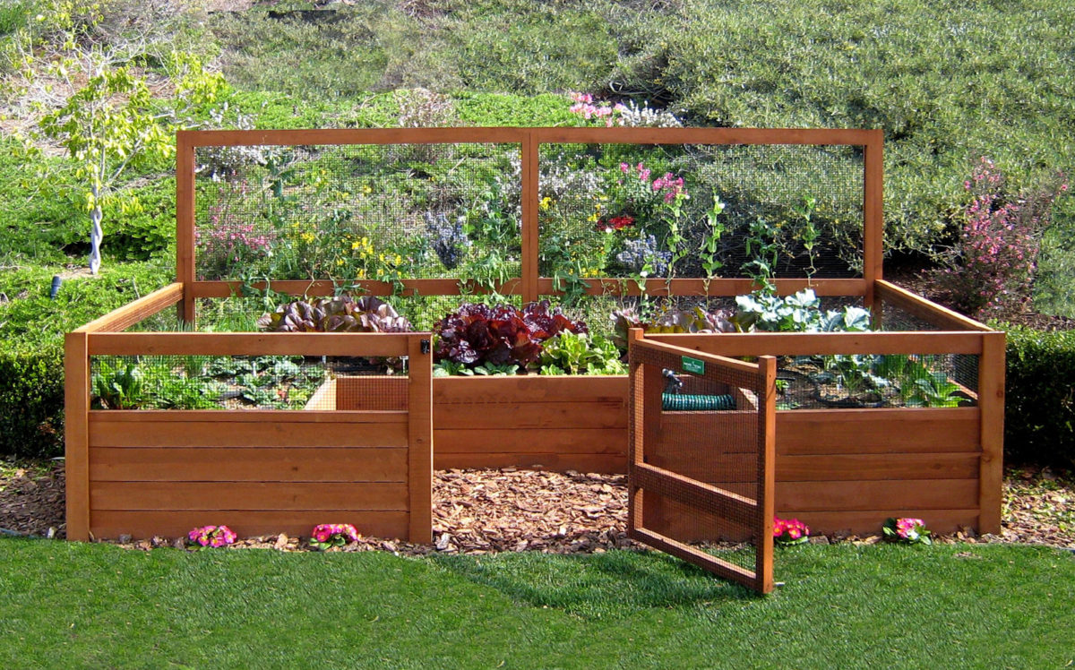 vegetable-garden-in-garden-wooden-fence