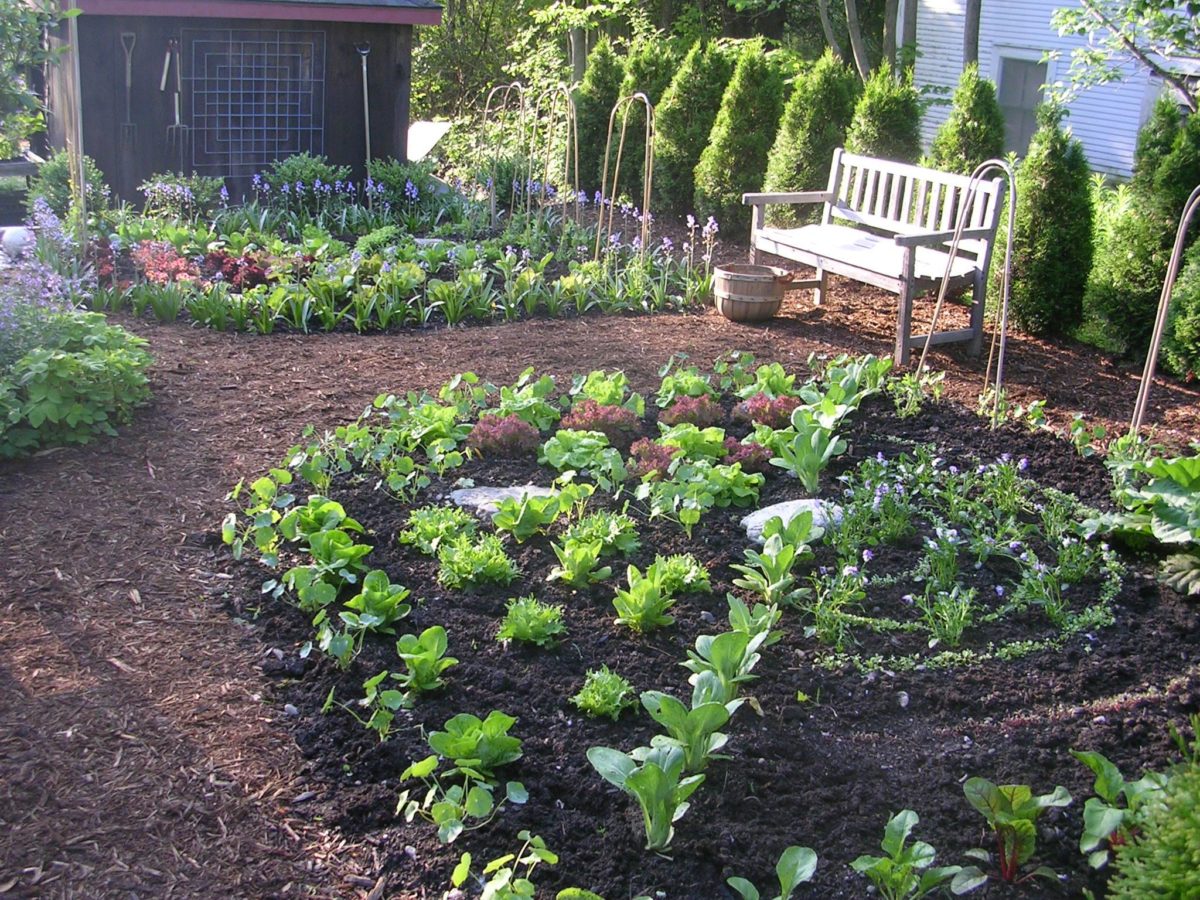 garden-garden-bench