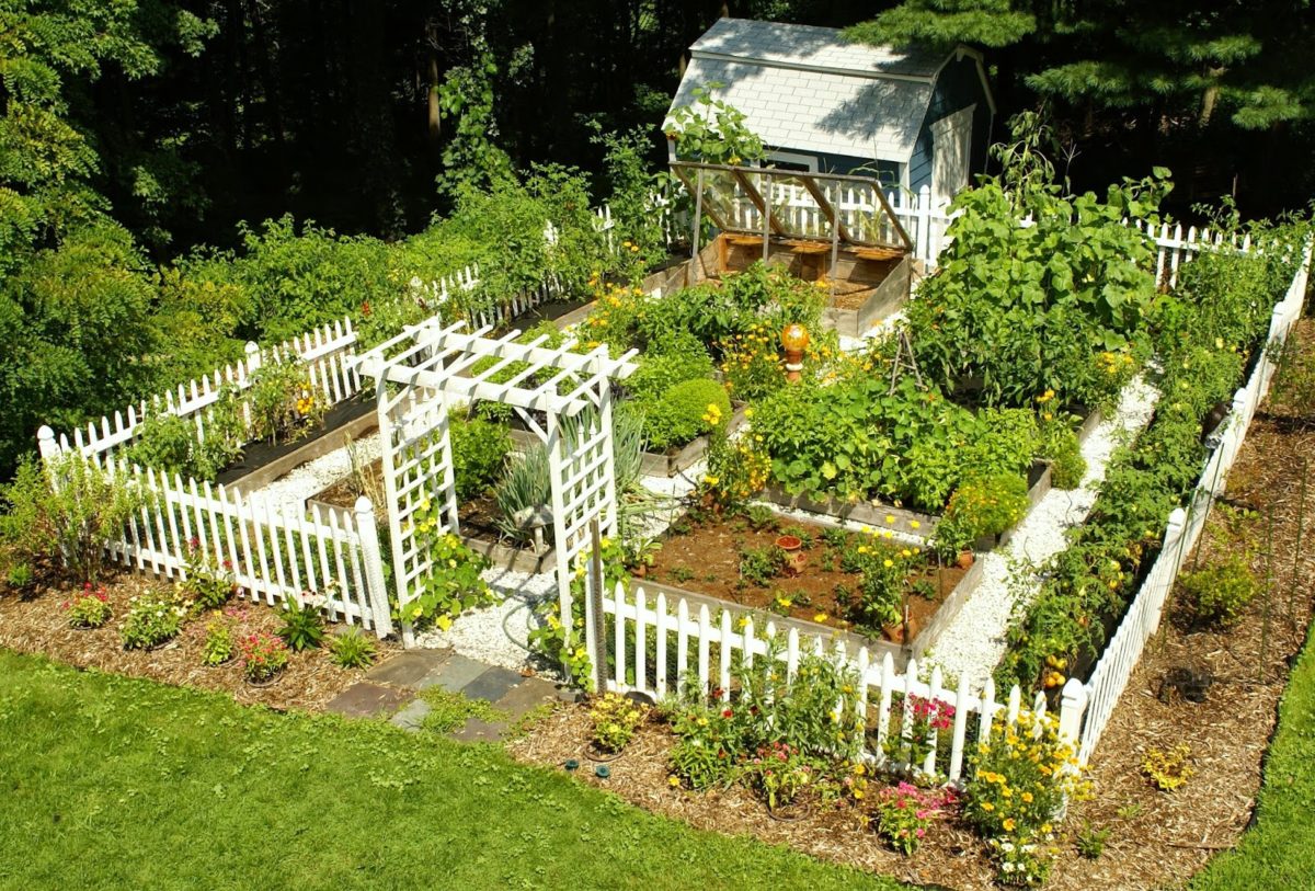 vegetable-garden-in-garden-fence