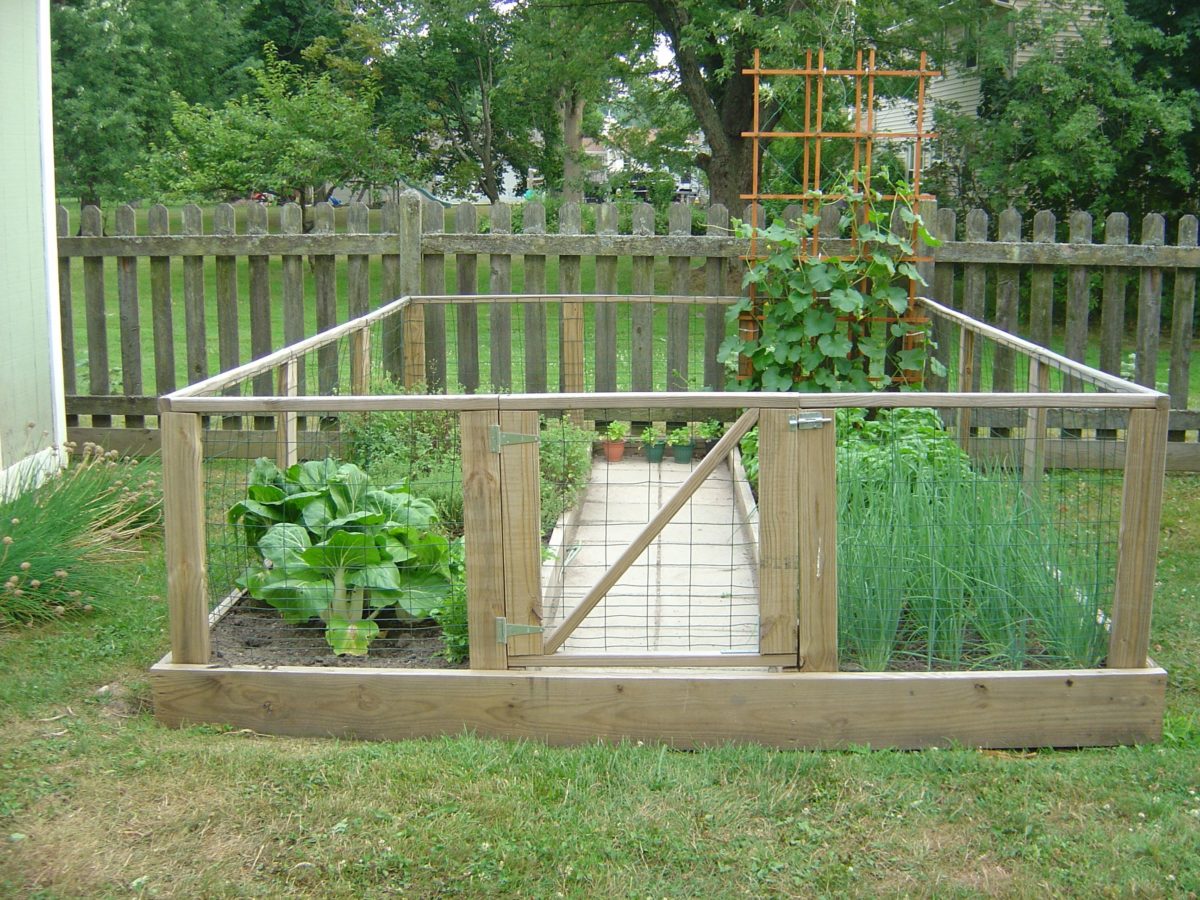 vegetable-garden-in-garden-fence-animals