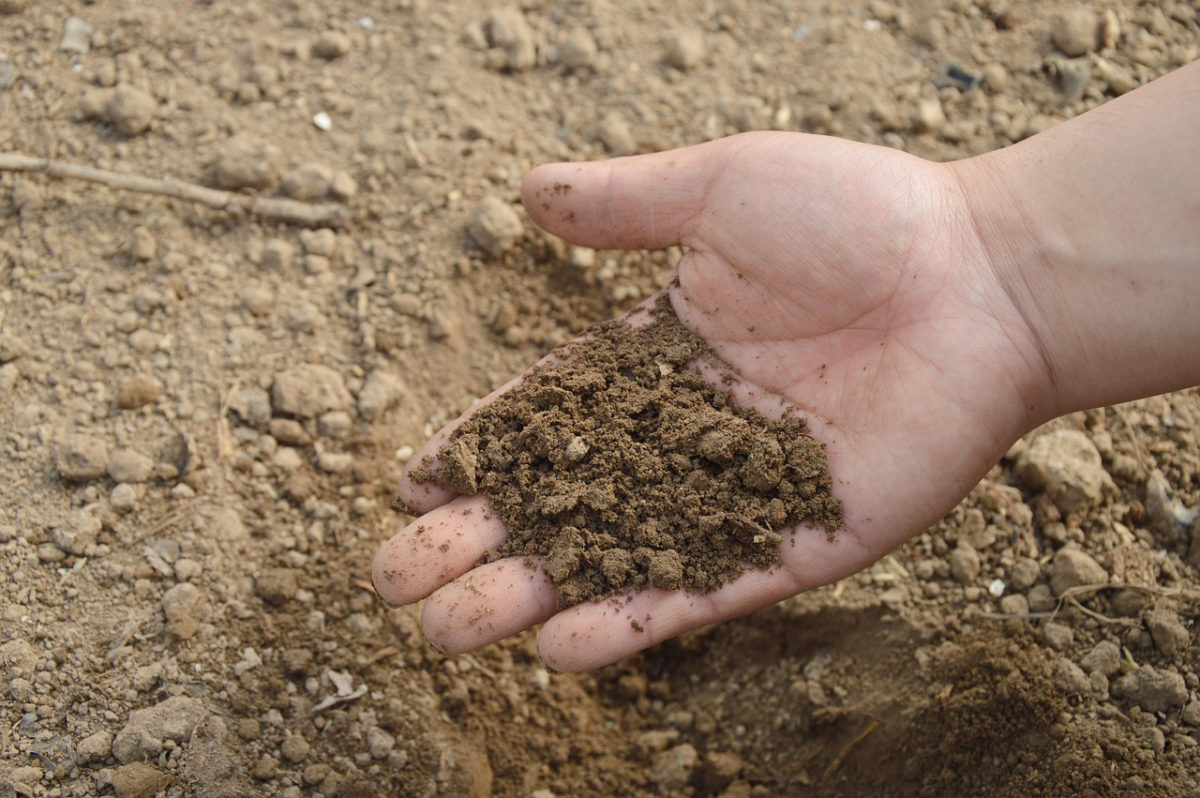 vegetable-garden-preparation-soil