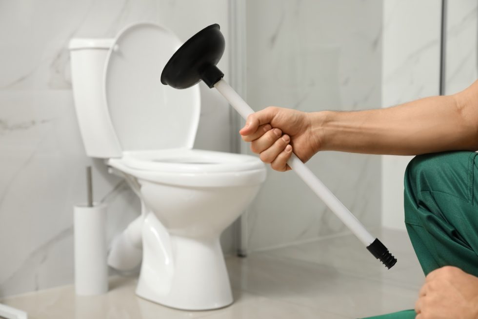 how-to-clean-toilet-drain-5