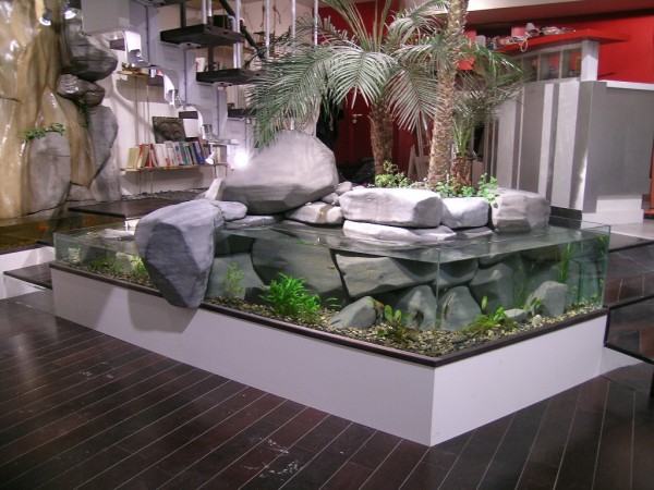 internal garden with aquarium