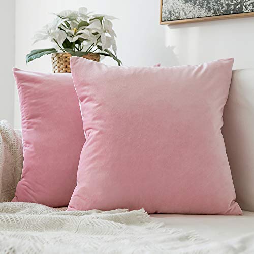 MIULEE Velvet Cushion Cover Sofa Throw Pillow Case Cushion Decoration Pillow Cover Case Decorative Pillows for Living Room 55 x 55cm 22 x 22 Inch 2 Pieces Sakura Pink
