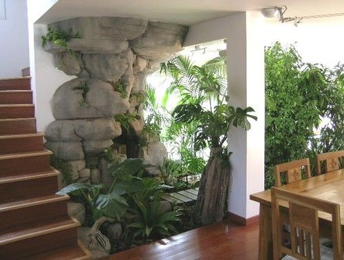 tropical indoor garden