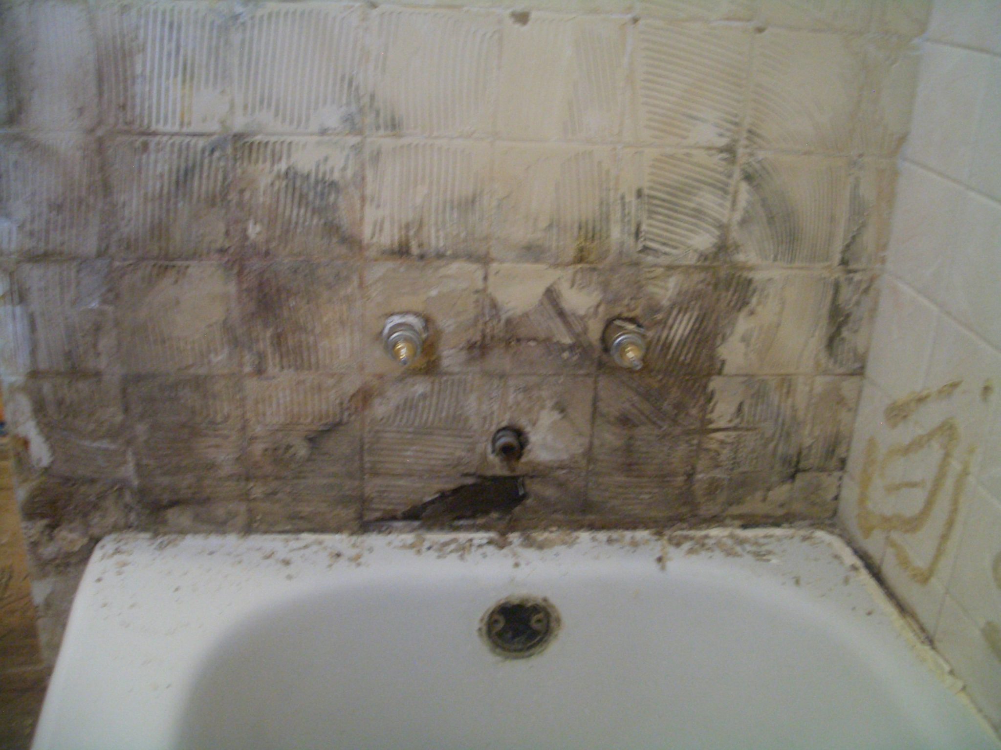 Do steam showers cause mold?