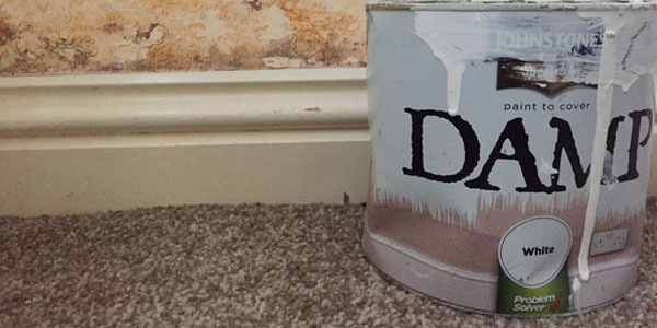 how-do-you-paint-over-damp