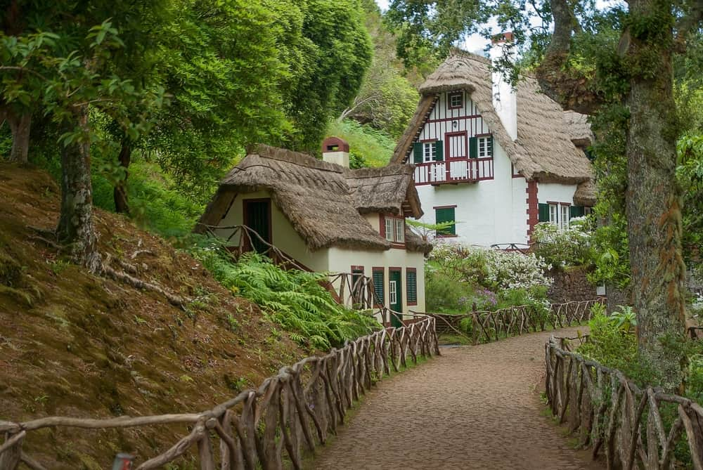 how-often-do-you-replace-thatched-roofs