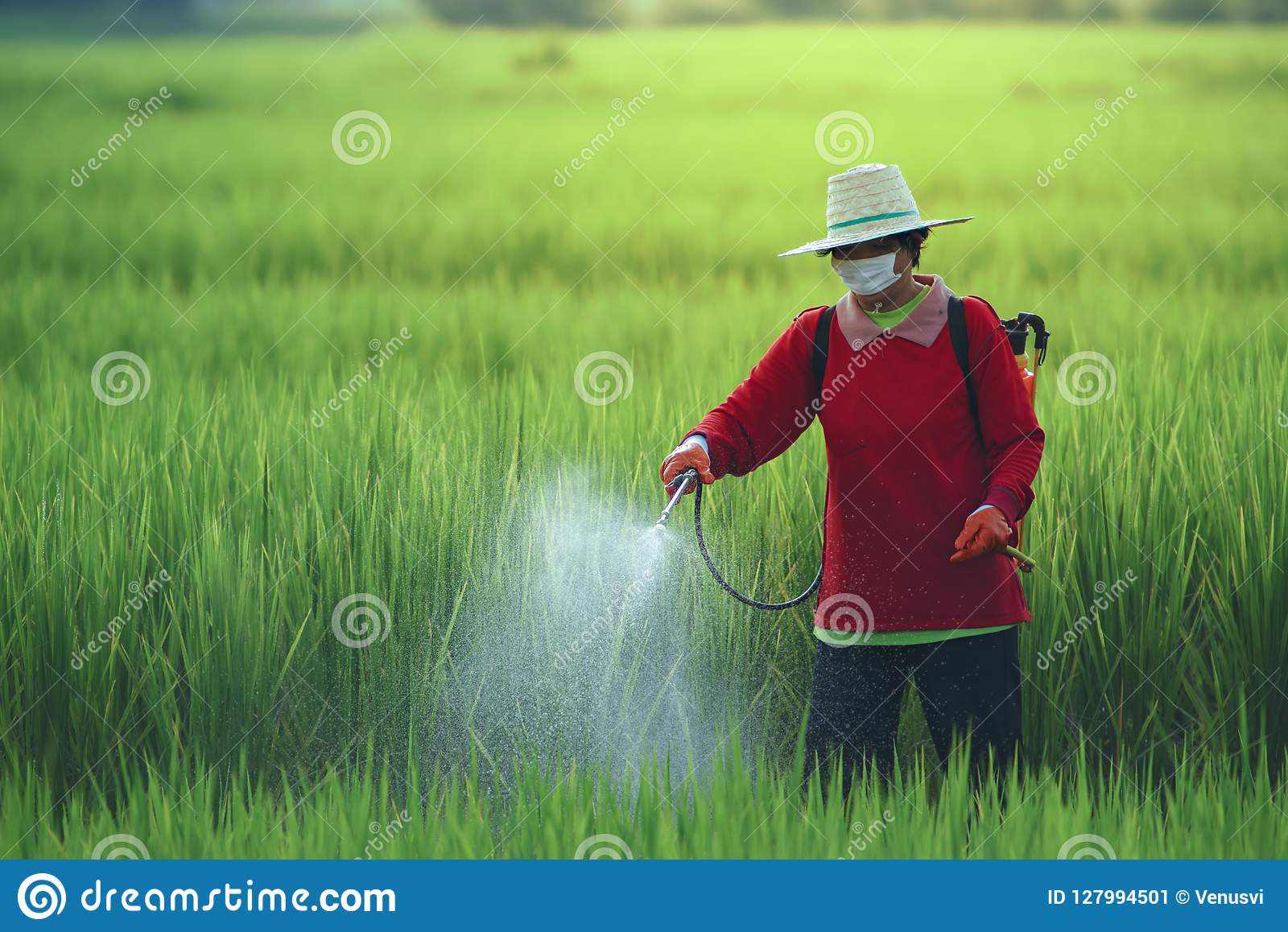 Is Insecticide Spray Harmful To Humans 