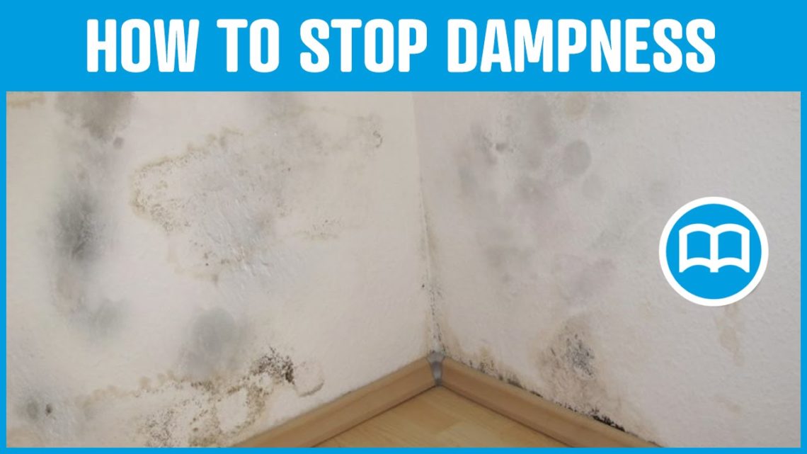 what-paint-can-i-use-to-stop-damp