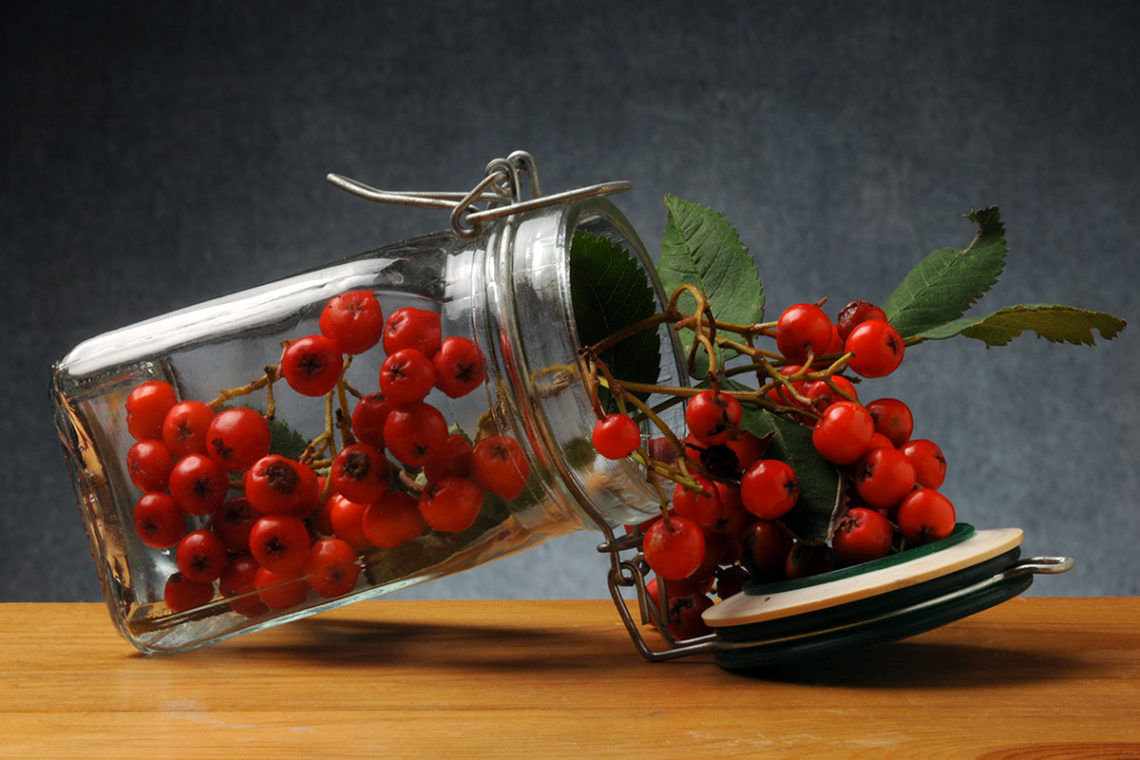 which-plant-should-be-kept-in-kitchen