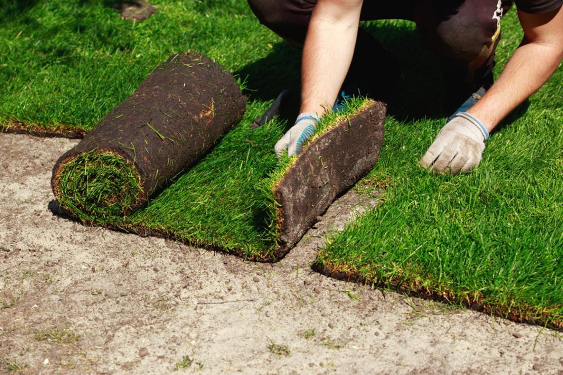 can-i-lay-sod-over-grass-interior-magazine-leading-decoration