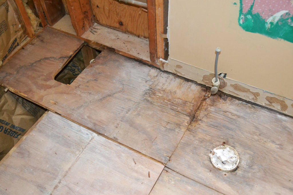 how-do-you-remove-mold-from-a-subfloor-interior-magazine-leading