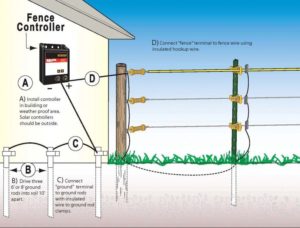 Does an electric fence have to make a complete loop? - Interior