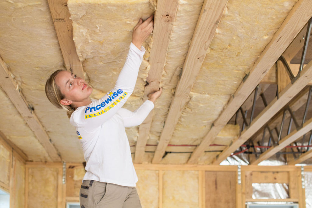 Should You Put Plastic Over Insulation Interior Magazine Leading 